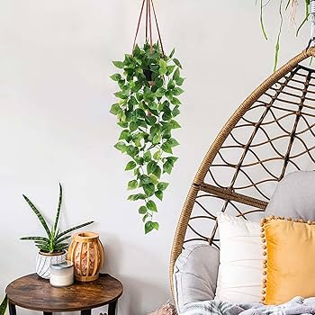 Deco chan 610EOJhSu2L._UF350,350_QL50_.jpg